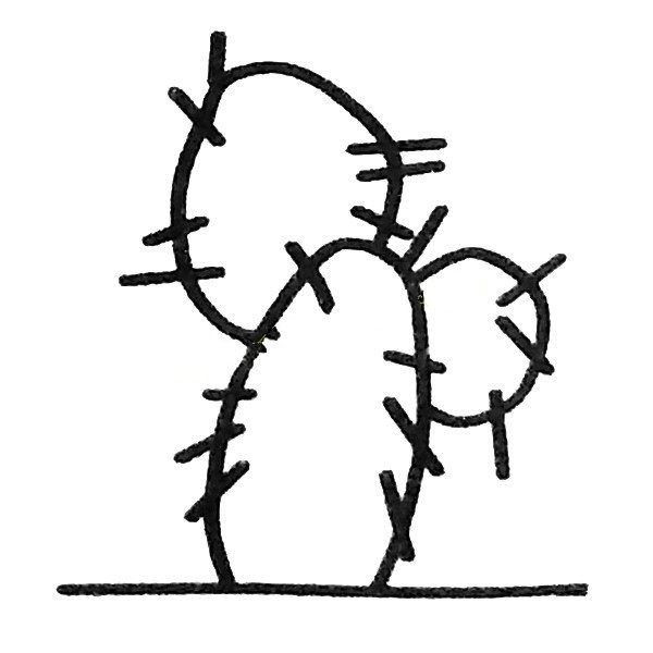 Simple drawing method of cute cactus