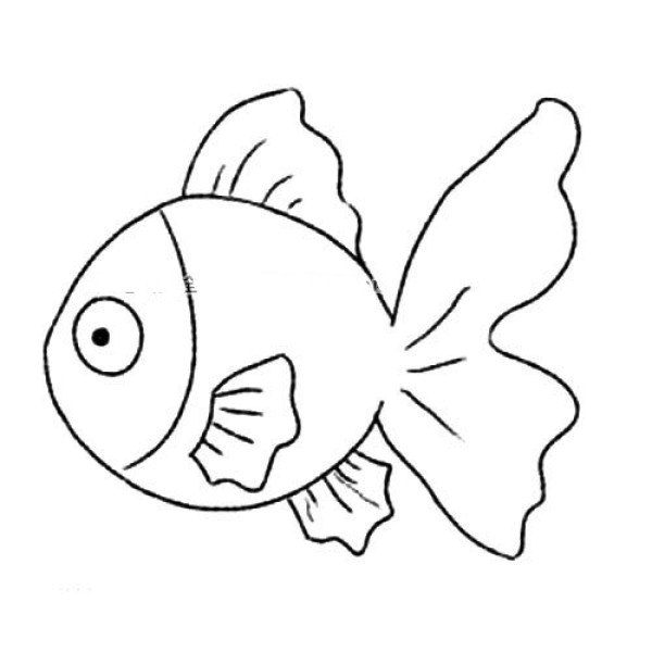 Cute goldfish simple drawing