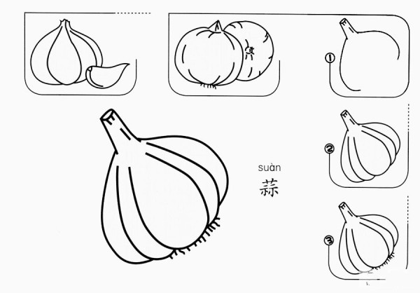 How to draw garlic