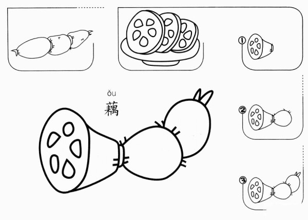 How to draw lotus root