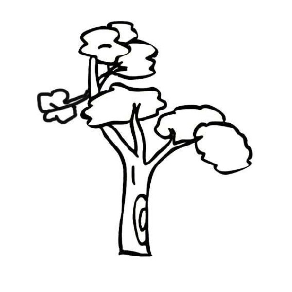 Complete collection of simple plant drawings and simple drawing pictures of big trees