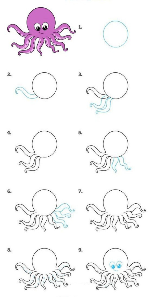 Step by step drawing of octopus