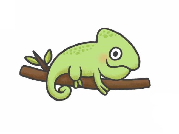 Simple drawing of chameleon