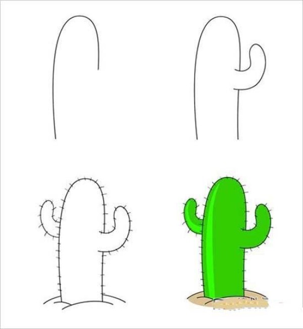 Cactus simple drawing tutorial step by step pictures: How to draw a cactus