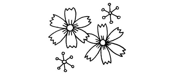 Learn to draw beautiful chrysanthemums in four steps