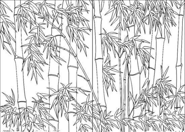 A complete collection of hand-painted bamboo forest simple strokes pictures