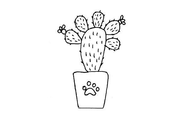 Simple and cute cactus