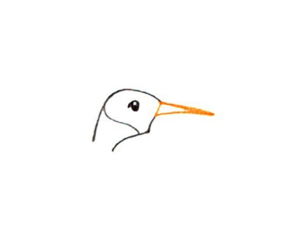 How to draw a walking penguin