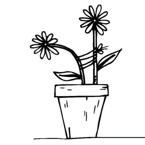 Simple drawing of small flowers in pot