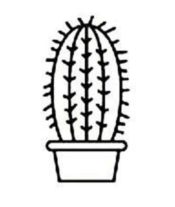 Simple drawing picture of a pot of cactus