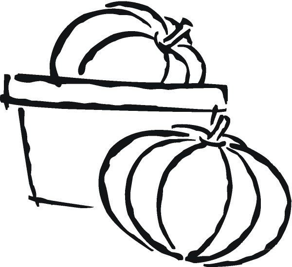 pumpkin in basket