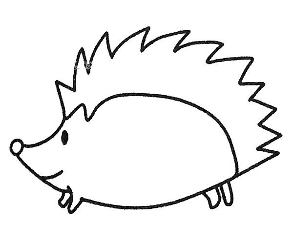 Learn to draw a simple hedgehog in four steps