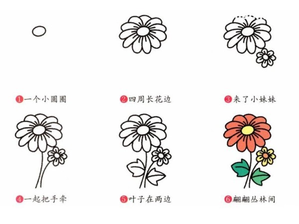 Simple drawing steps of chrysanthemum