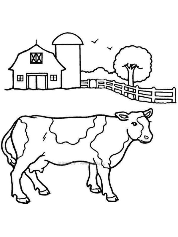 Simple drawing pictures of cows on the farm