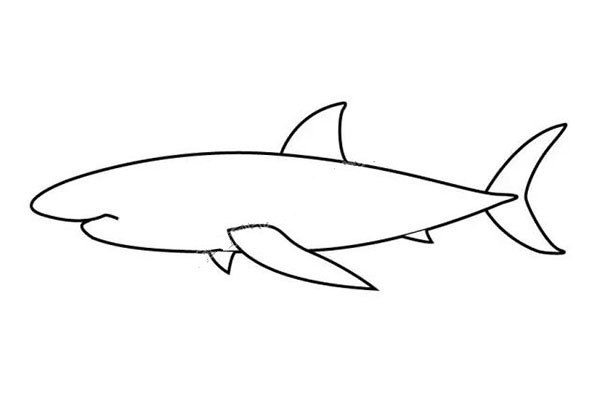 How to draw a shark