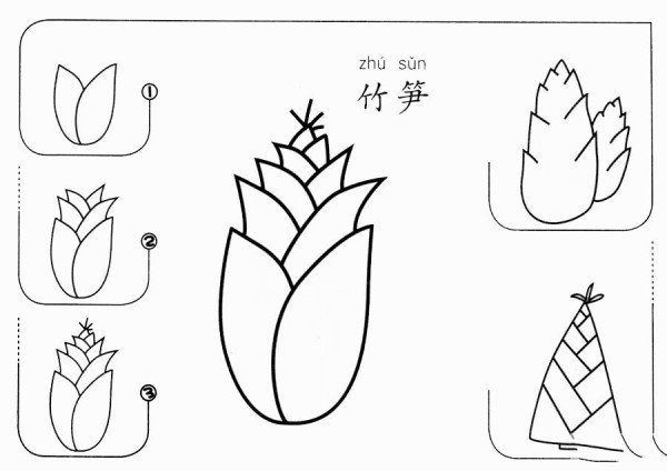 How to draw bamboo shoots