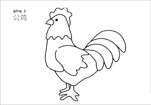 Rooster simple drawing