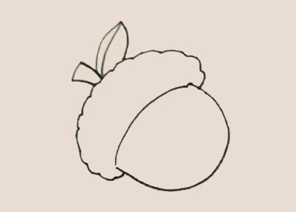 Simple drawing of acorn