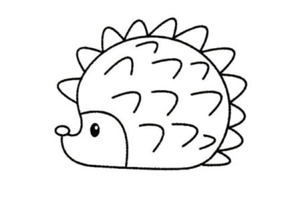 Complete collection of simple strokes of hedgehog and drawing steps