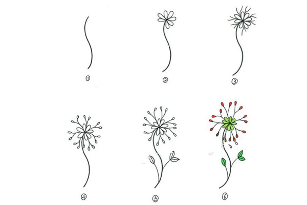 A set of simple drawing methods of beautiful small plants