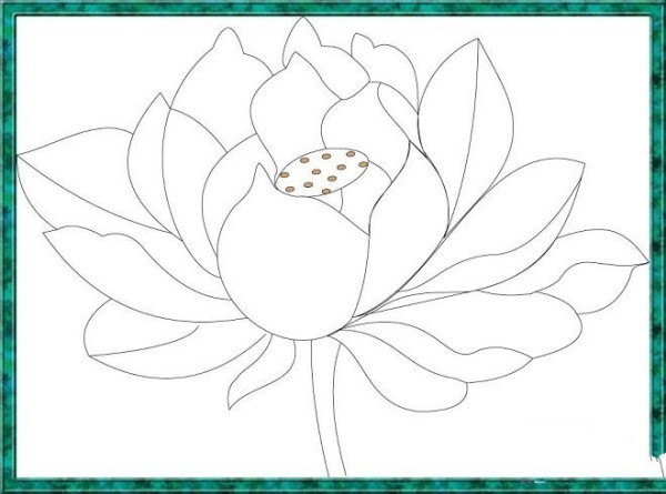 Hand drawn sketch of a beautiful lotus flower