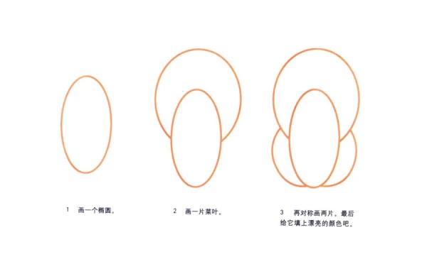 Chinese cabbage simple drawing steps broken down drawing method