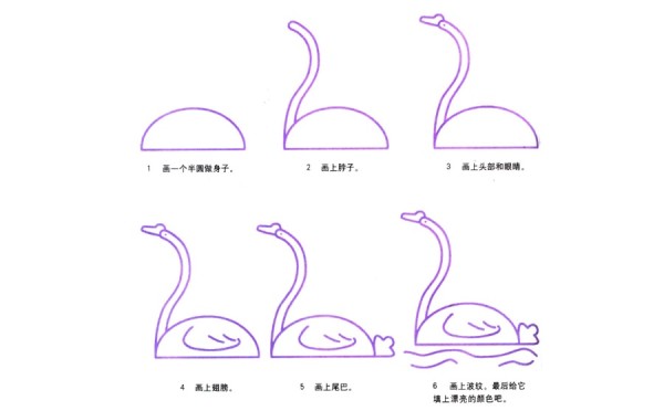 Step by step drawing of white swan