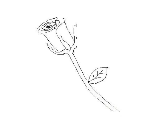 Complete collection of simple drawings of flowers Simple drawings of roses