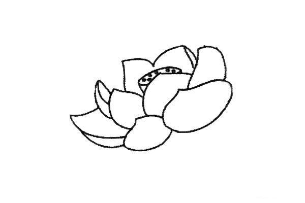 Fresh lotus simple strokes drawing tutorial