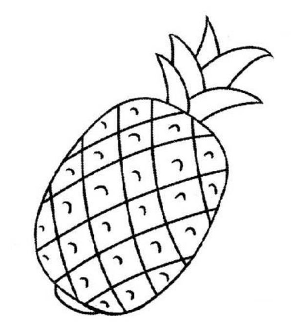 Pineapple fruit simple drawing picture