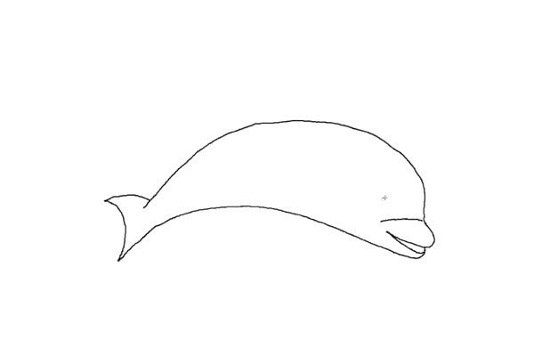 How to draw a dolphin in simple strokes