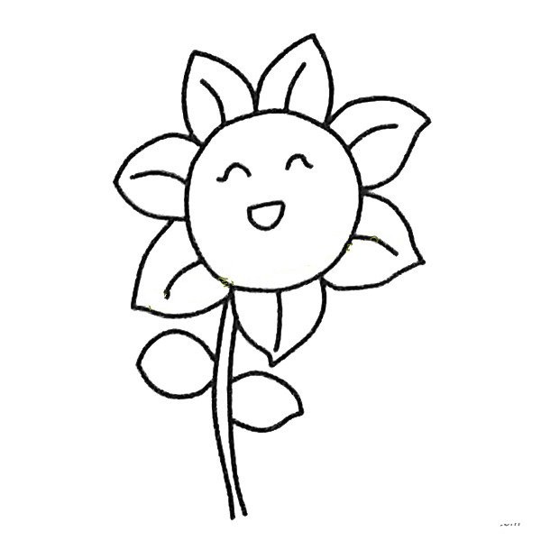 A set of cute simple drawing pictures of sunflowers