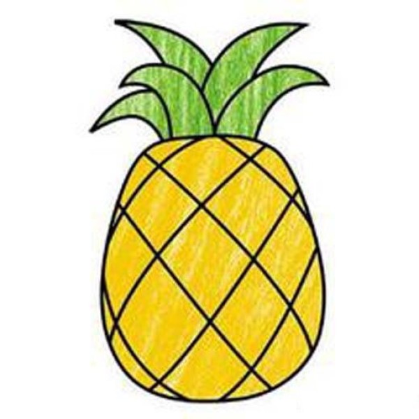 Simple picture of pineapple with color