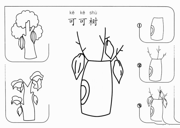 How to draw cocoa tree