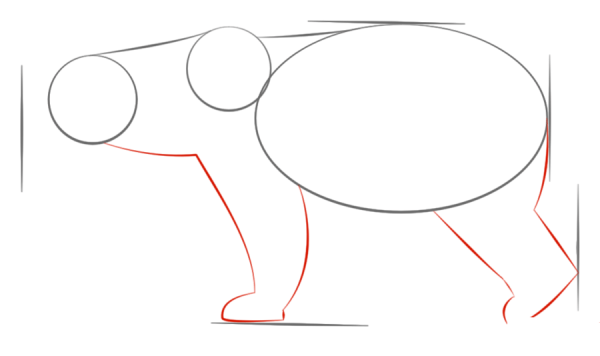 How to Draw a Polar Bear