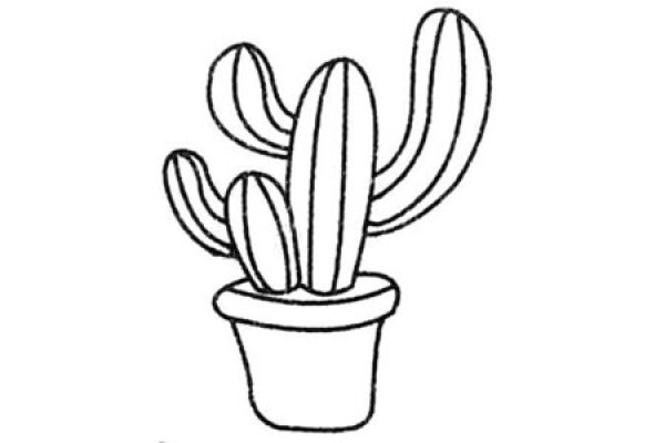 Cactus potted plant simple drawing picture