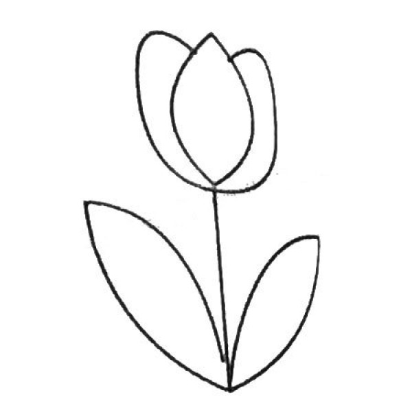 Complete collection of simple strokes of tulips and drawing steps