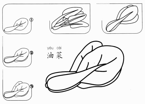 How to draw rapeseed