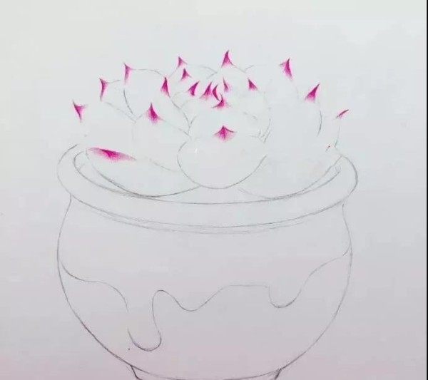 Colored lead painting~Teach you how to draw a combination of succulent flowers and pots!