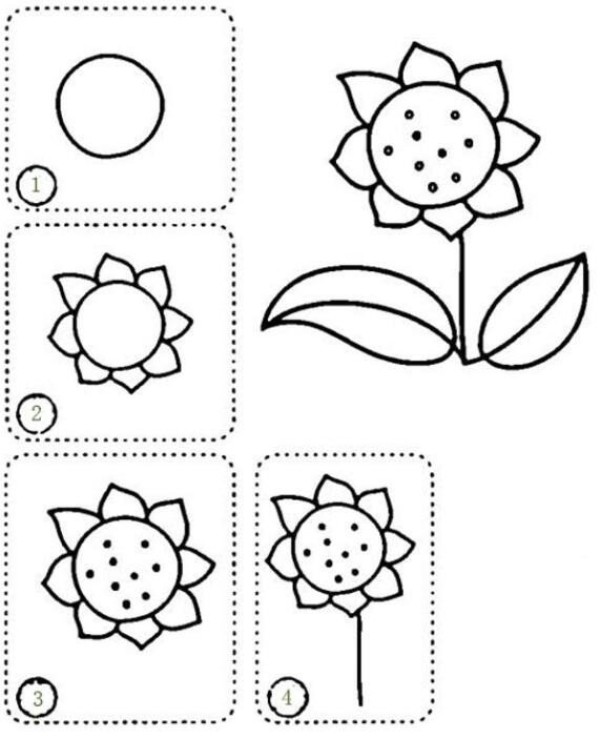 How to draw a sunflower