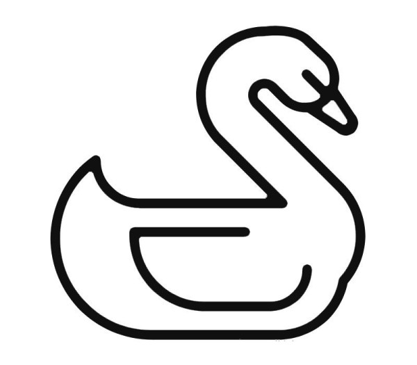 swan in water