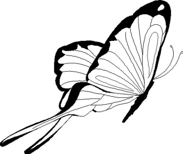 Simple drawing picture of flying butterfly