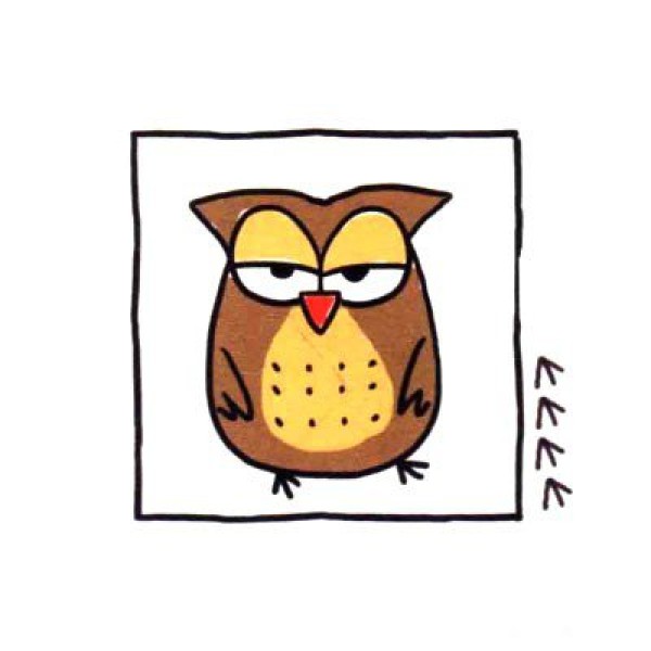 Draw a cute simple drawing of a dozing owl in four steps