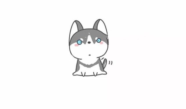 Cute Husky simple drawing steps