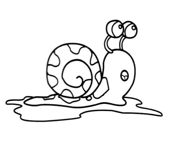 snail in water