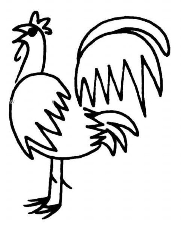 Super simple rooster sketch