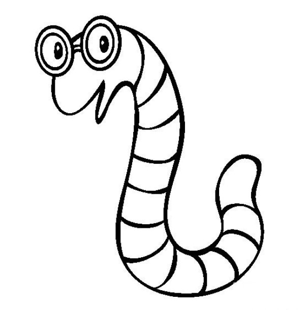 Insect pictures Worm simple drawing pictures