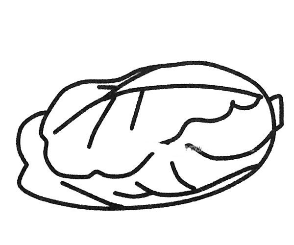 6 simple drawing pictures of cabbage