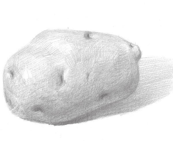 Drawing Techniques of Sketching Potatoes