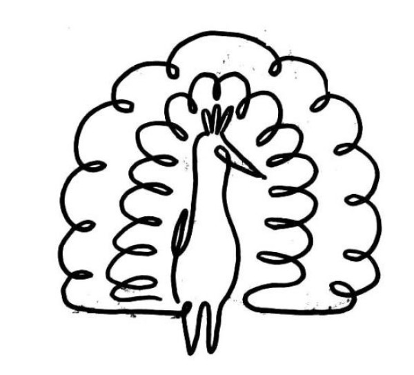 How to draw a peacock with its tail open in one stroke